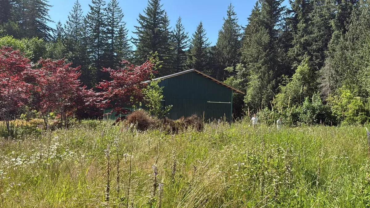 Columbia Valley, BC V2R 4X7,1153 Kosikar RD