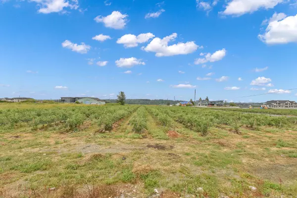 17027 40 AVE Surrey, BC V3S 0L5