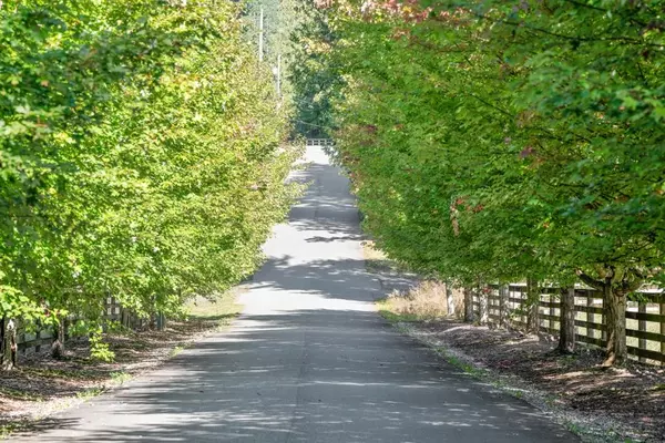 Columbia Valley, BC V2R 4X5,1400 Maple Rock DR