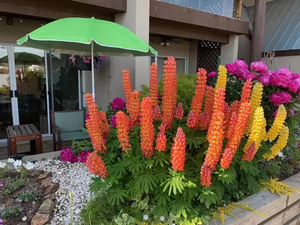 New Westminster, BC V3M 6B6,3 K De K CT #103