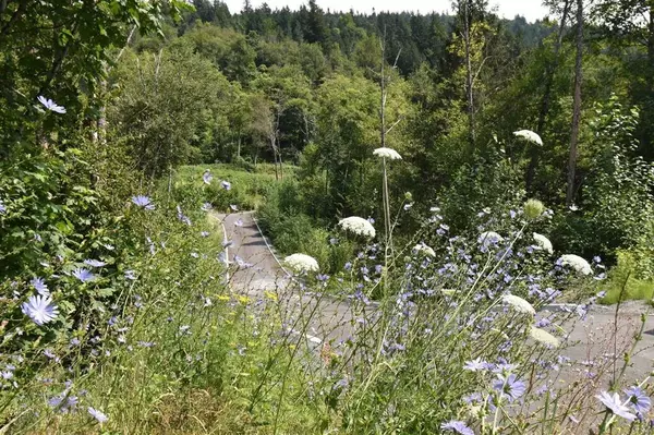 Chilliwack, BC V4Z 1G7,48875 Elk View RD