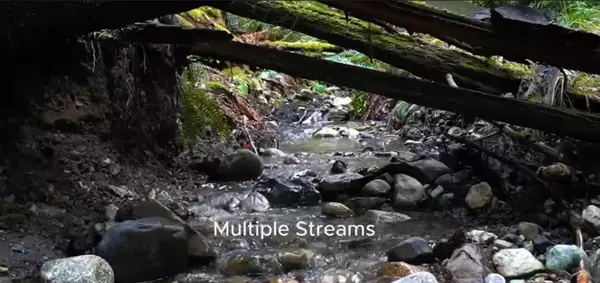 Bowen Island, BC V0N 1G2,2060 Cape DR