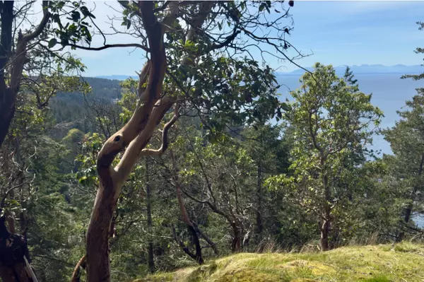 LOT3 Arbutus RDG #PH3, Bowen Island, BC V0N 1G2