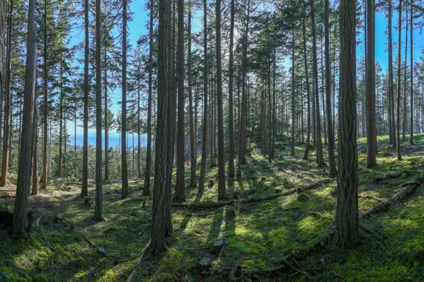 Bowen Island, BC V0N 1G2,LOT8 Arbutus RDG #PH3