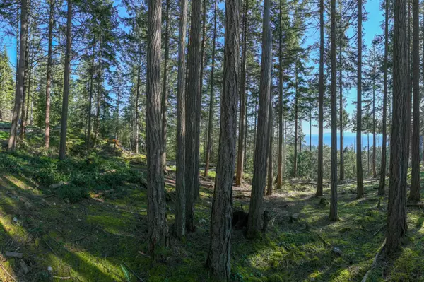 Bowen Island, BC V0N 1G2,LOT8 Arbutus RDG #PH3