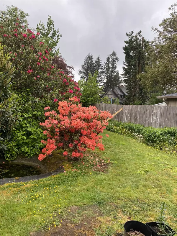 Maple Ridge, BC V2X 5M4,12213 218 ST