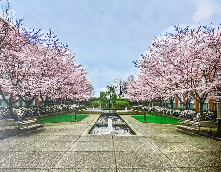 618 W 45th AVE #412, Vancouver, BC V5Z 4R7