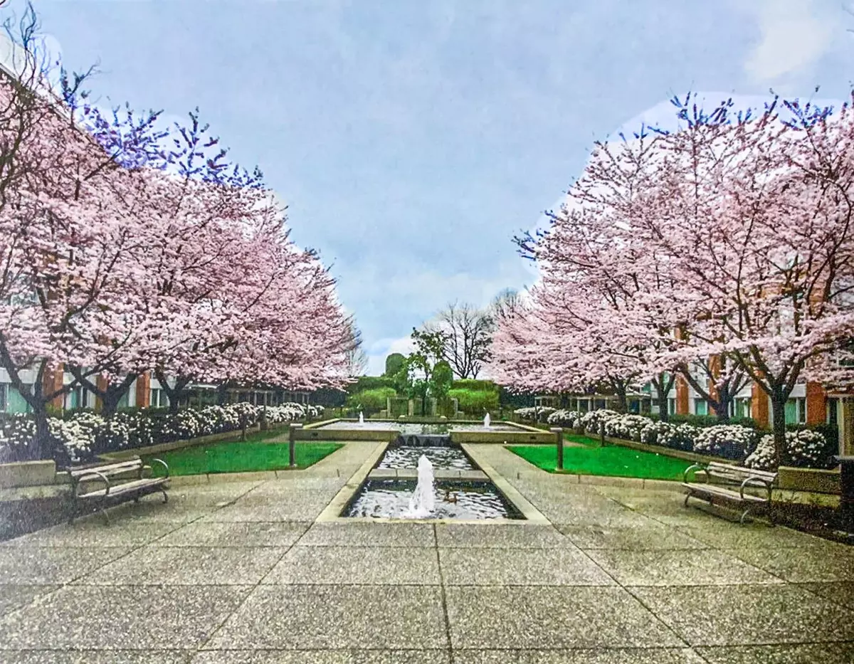 Vancouver, BC V5Z 4R7,618 W 45th AVE #412