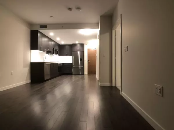 Vancouver, BC V5T 0J7,1708 Ontario ST #801
