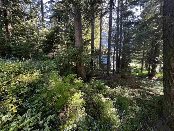 Sunshine Valley, BC V0X 1L5,14902 Parkwood ST