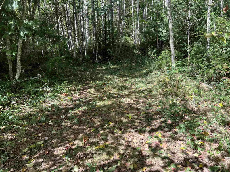 LOT B Porters Rd RD, Pender Harbour, BC V0N 2H1