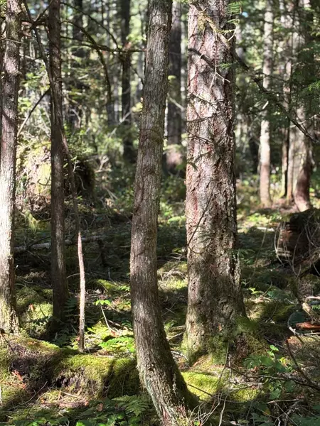 LOT B Porters RD, Pender Harbour, BC V0N 2H1