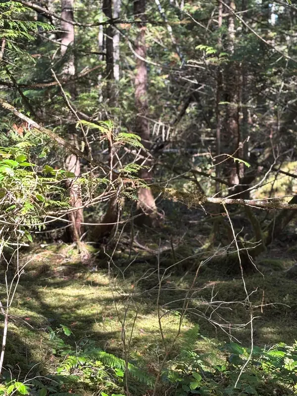 Pender Harbour, BC V0N 2H1,LOT B Porters Rd RD
