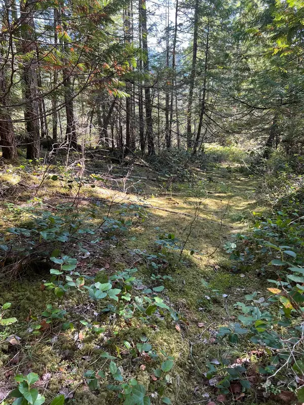 Pender Harbour, BC V0N 2H1,LOT B Porters RD