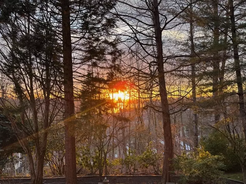 11609 227 ST #205, Maple Ridge, BC V2X 2L9