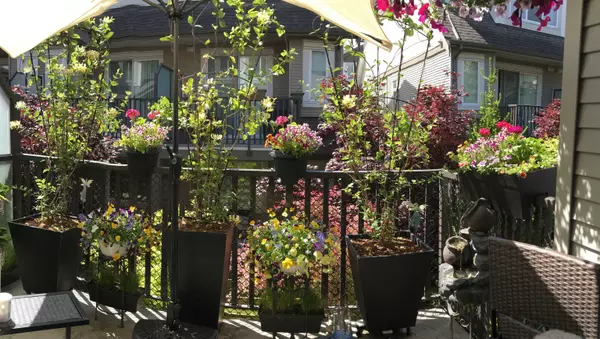 Langley, BC V2Y 0J7,8250 209b ST #61