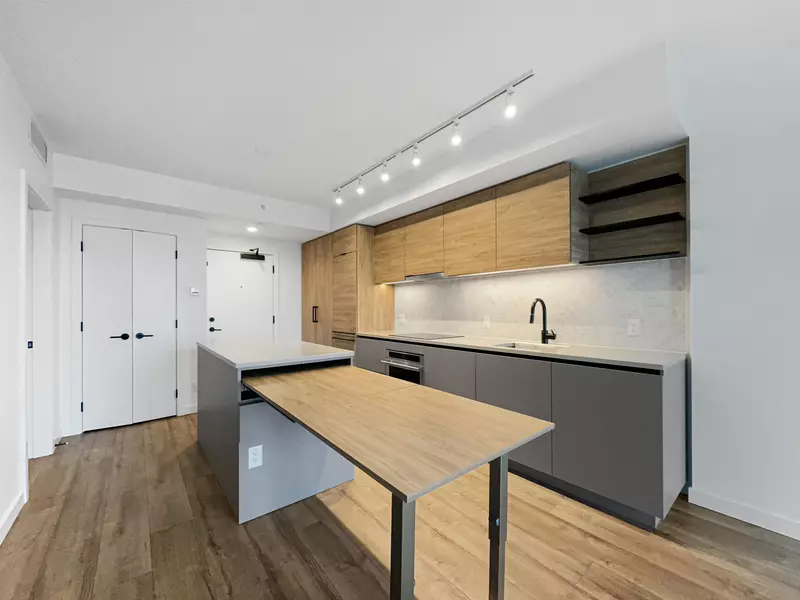 13428 105 AVE #23XX, Surrey, BC V3T 0S6