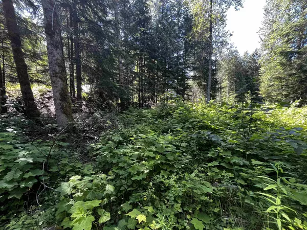 Sunshine Valley, BC V0X 1L5,SVE24 Old Hope Princeton HWY