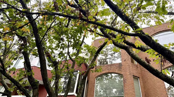 Vancouver, BC V6G 2R6,1010 Chilco ST #403