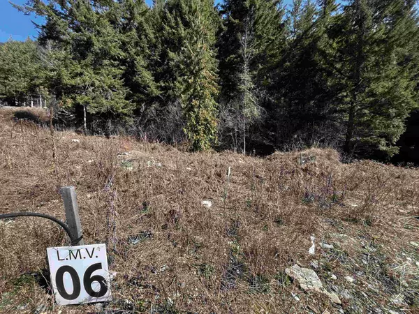 LMV 6 Old Hope Princeton HWY, Sunshine Valley, BC V0X 1L5