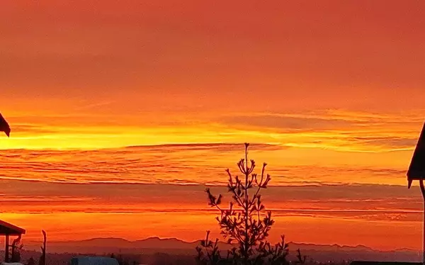 Maple Ridge, BC V2W 0J4,10480 248 ST #17