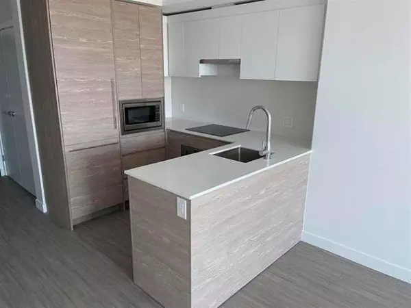 Surrey, BC V3T 0P8,13655 Fraser HWY #2502