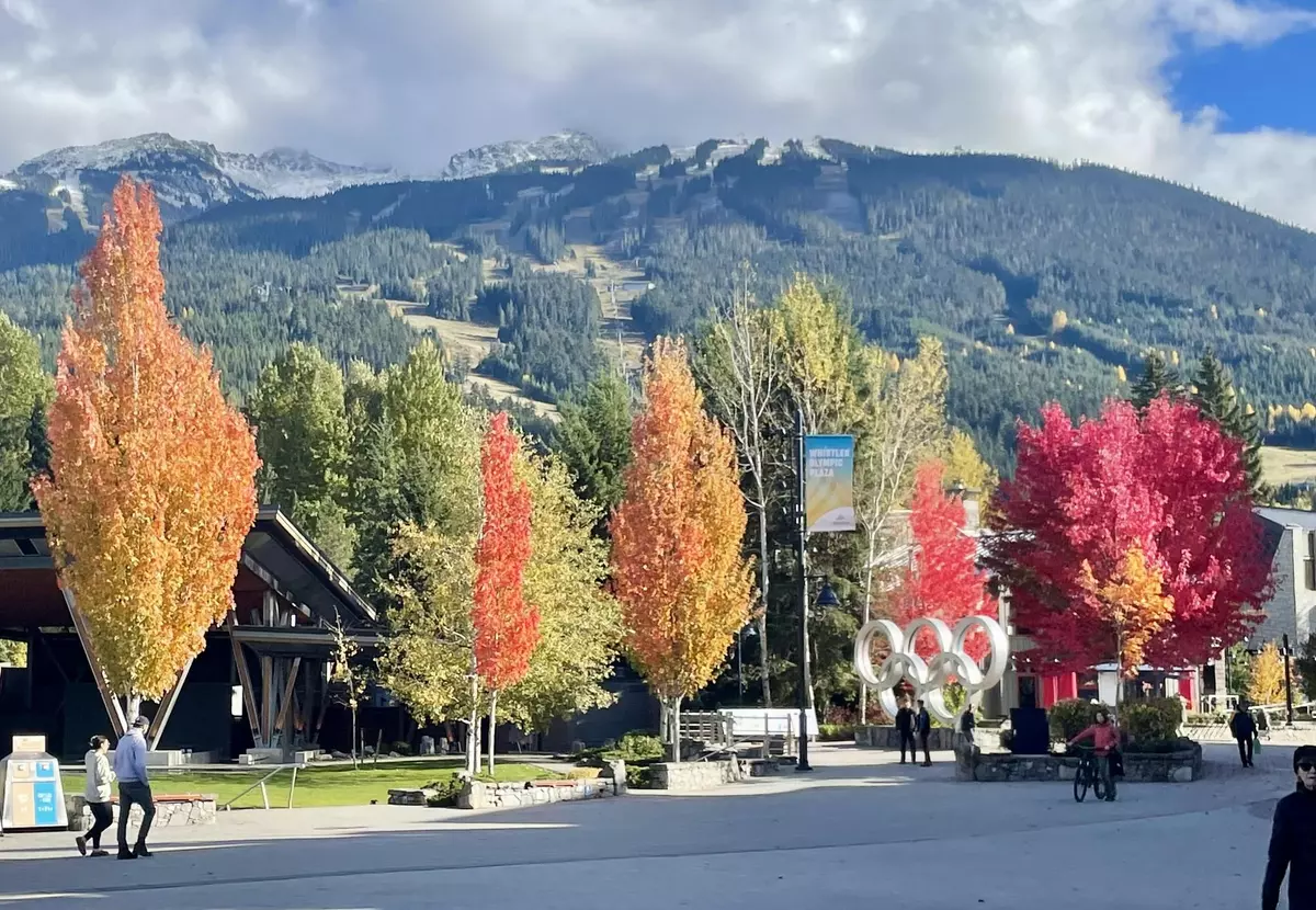 Whistler, BC V8E 1B4,4338 Main ST #302