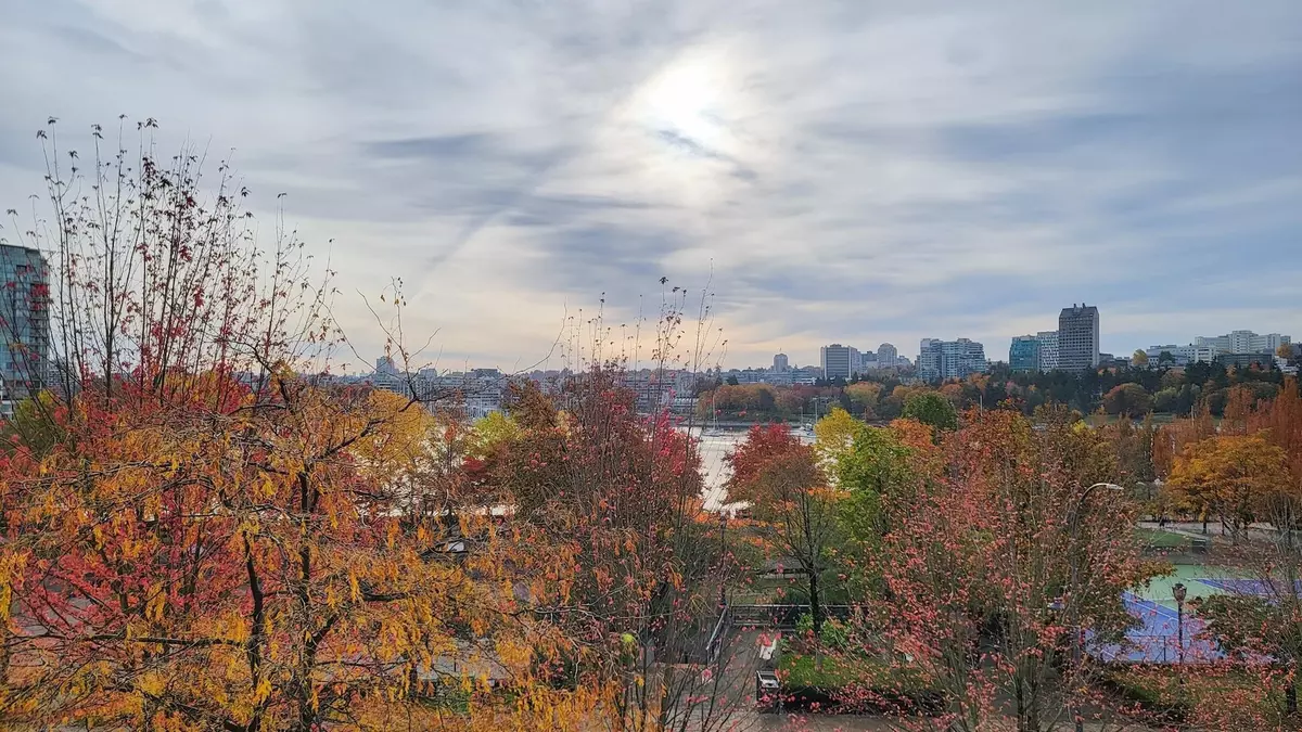 Vancouver, BC V6Z 3C8,1483 Homer ST #502