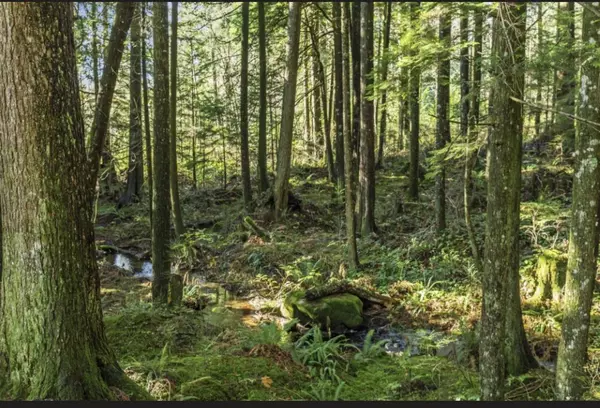 30317 Berg AVE Mission, BC V4S 1C8