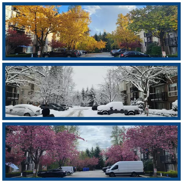 11665 Haney BYP #101, Maple Ridge, BC V2X 8W9