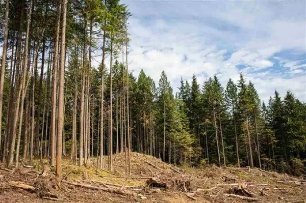 Mission, BC V4S 1M1,11533 Wilson ST