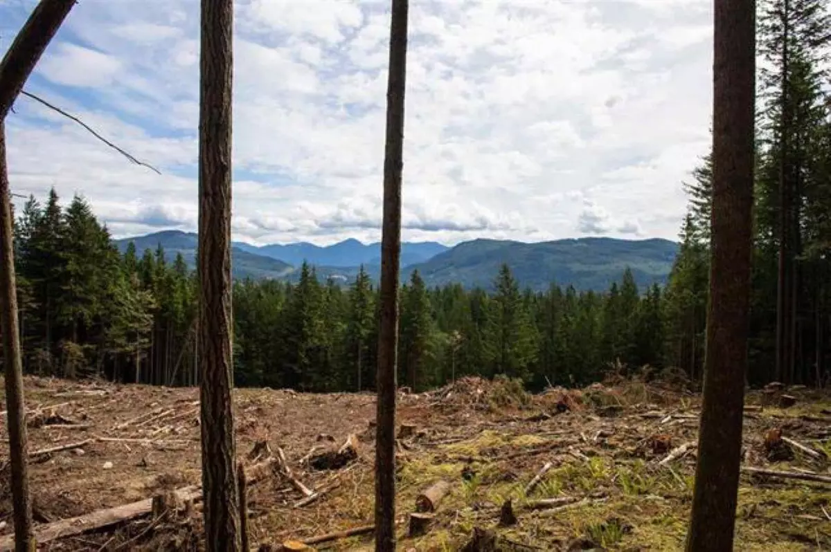 Mission, BC V4S 1M1,11533 Wilson ST