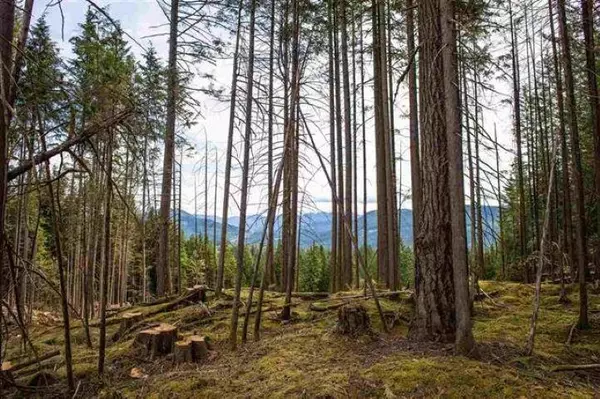 Mission, BC V4S 1M1,11533 Wilson ST