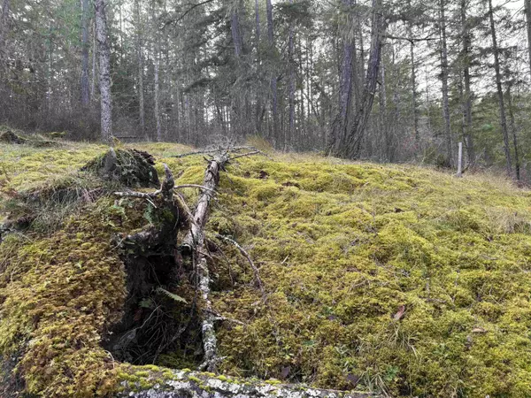 Madeira Park, BC V0N 2H1,LOT B Francis Peninsula RD