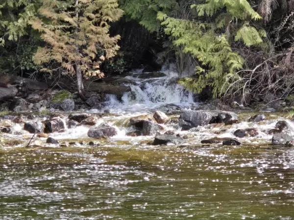 Pitt Meadows, BC V0N 1V0,Lot 4 Williams Landing LNDG