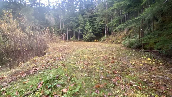 Britannia Beach, BC V8B 1J2,1017 Copper DR