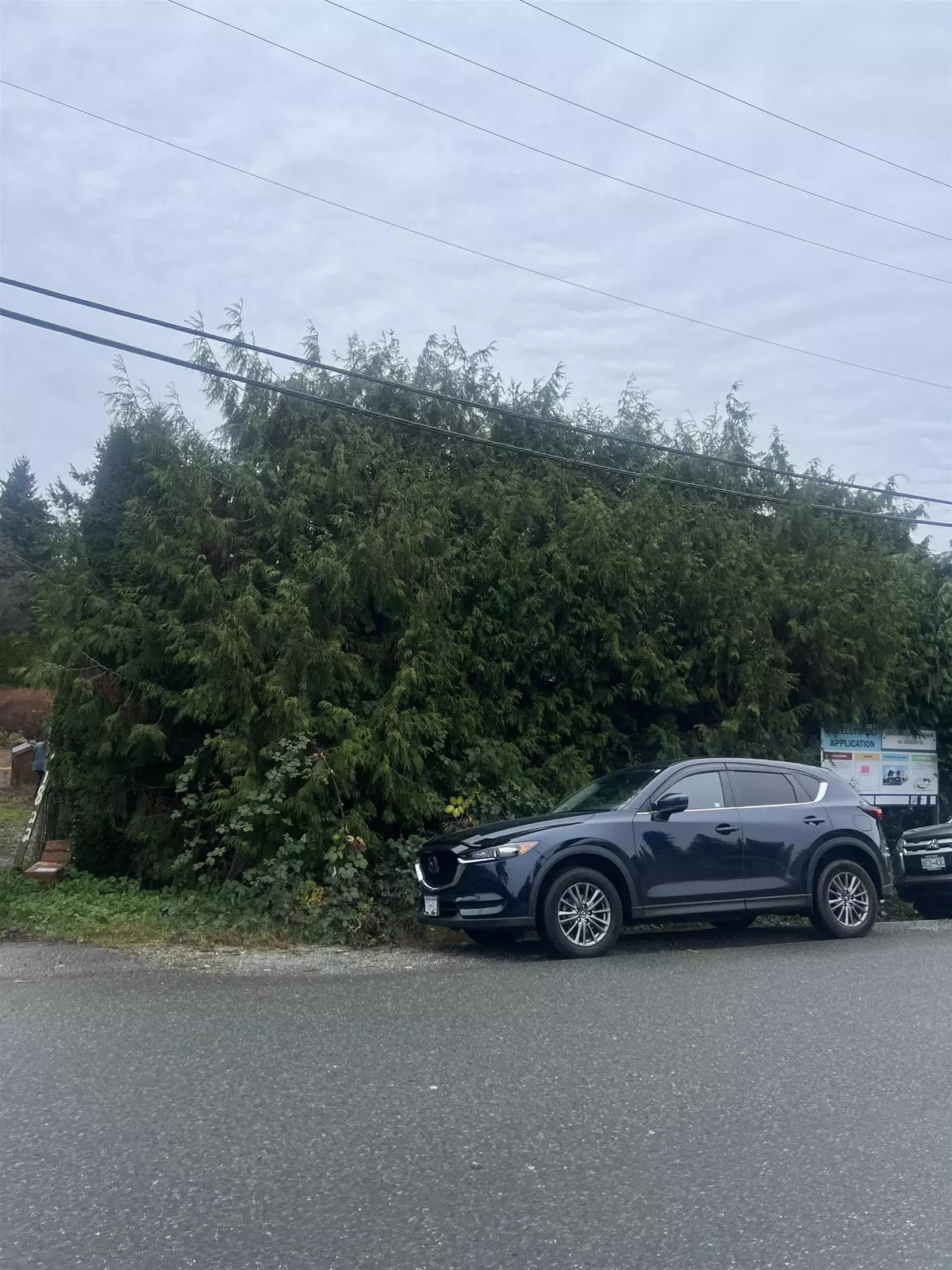 Maple Ridge, BC V2X 4W7,11822 Owen ST