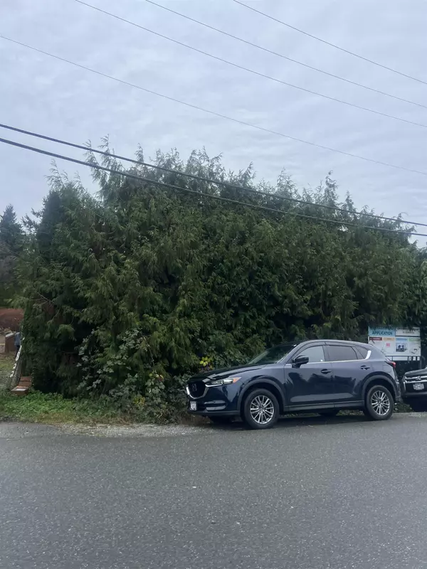 Maple Ridge, BC V2X 4W7,11822 Owen ST