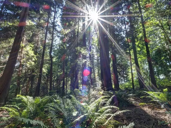 Lot 5 Gower Point RD Gibsons, BC V0N 1V5