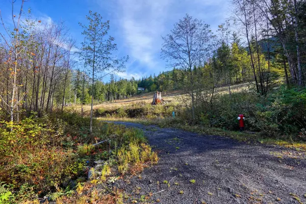 Britannia Beach, BC V8B 1J0,1125 Copper DR