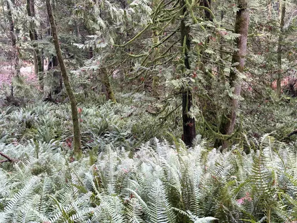 Gambier Island, BC V0N 1V0,901 West Bay RD