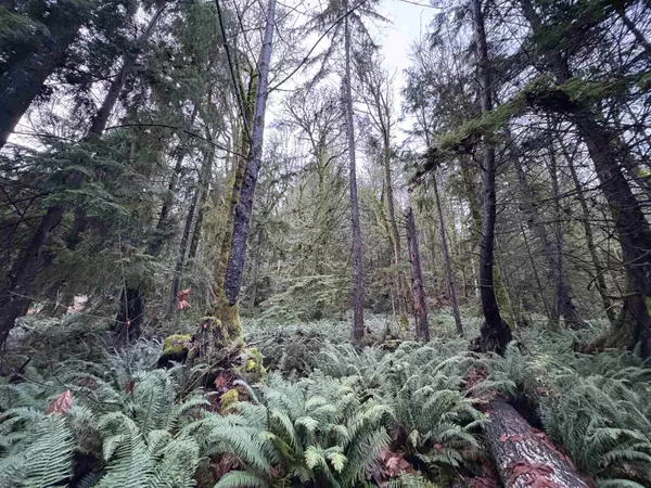 Gambier Island, BC V0N 1V0,901 West Bay RD