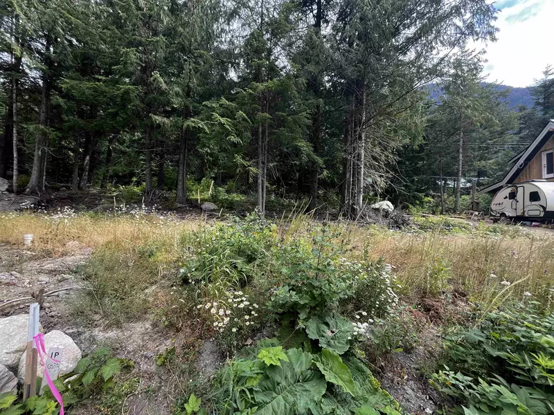 HG136 Old Hope Princeton HWY, Sunshine Valley, BC V0X 1L5