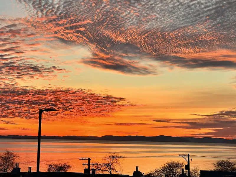 1246 Oxford ST, White Rock, BC V4B 5G8