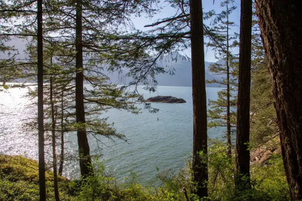 156 Shaughnessy HTS, Britannia Beach, BC V8B 1J2