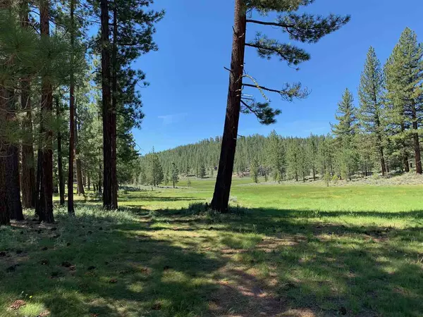 Chilcoot, CA 96105-0000,00 Frenchman Lake Rd.