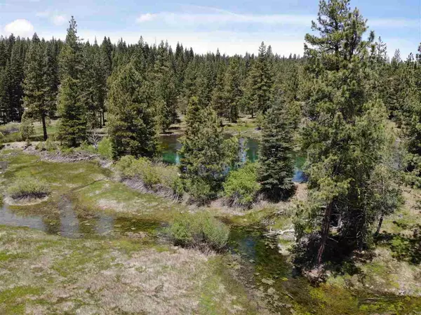 Mineral, CA 96063,000 Lost Creek Road #USFS 29N17