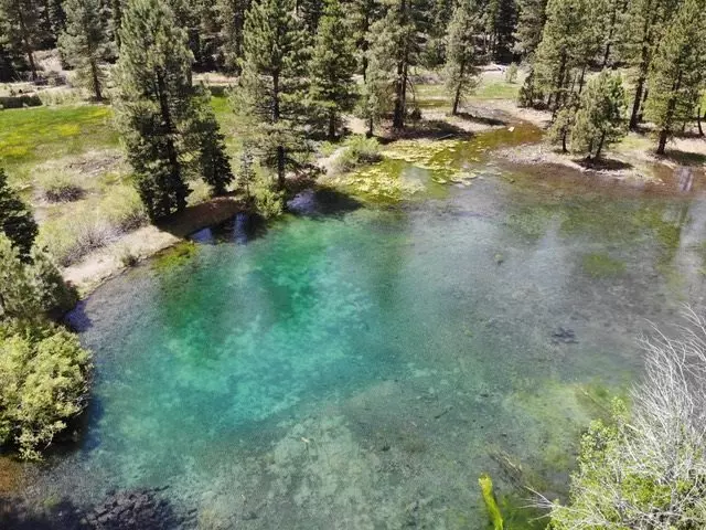 000 Lost Creek Road #USFS 29N17, Mineral, CA 96063