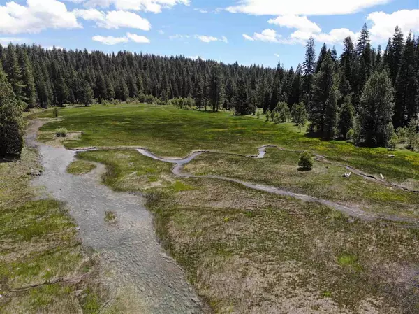 Mineral, CA 96063,000 Lost Creek Road #USFS 29N17