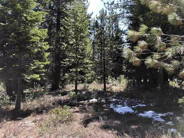 Truckee, CA 96161,12885 Zurich Place